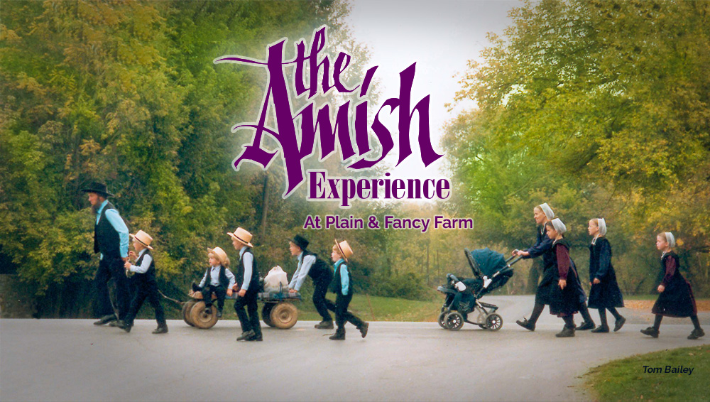https://amishexperience.com/